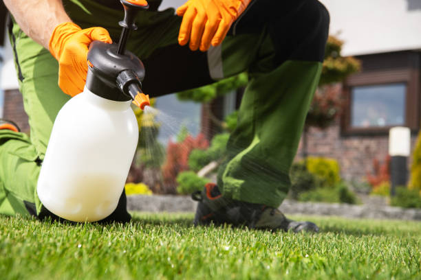 Flea Control Services in Davidson, NC