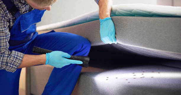 Best Termite Control Services  in Davidson, NC