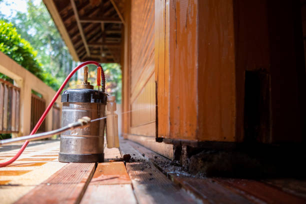 Best Insect Control  in Davidson, NC