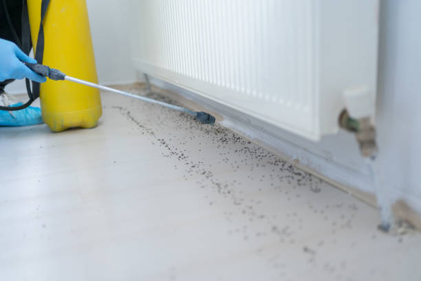 Best Commercial Pest Control Services  in Davidson, NC